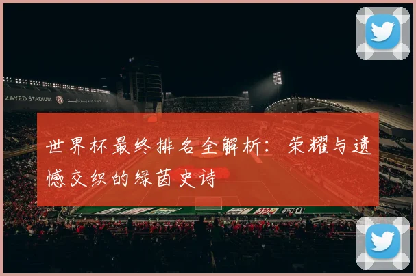 世界杯最终排名全解析：荣耀与遗憾交织的绿茵史诗