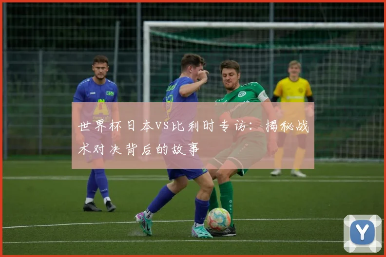 世界杯日本vs比利时专访：揭秘战术对决背后的故事